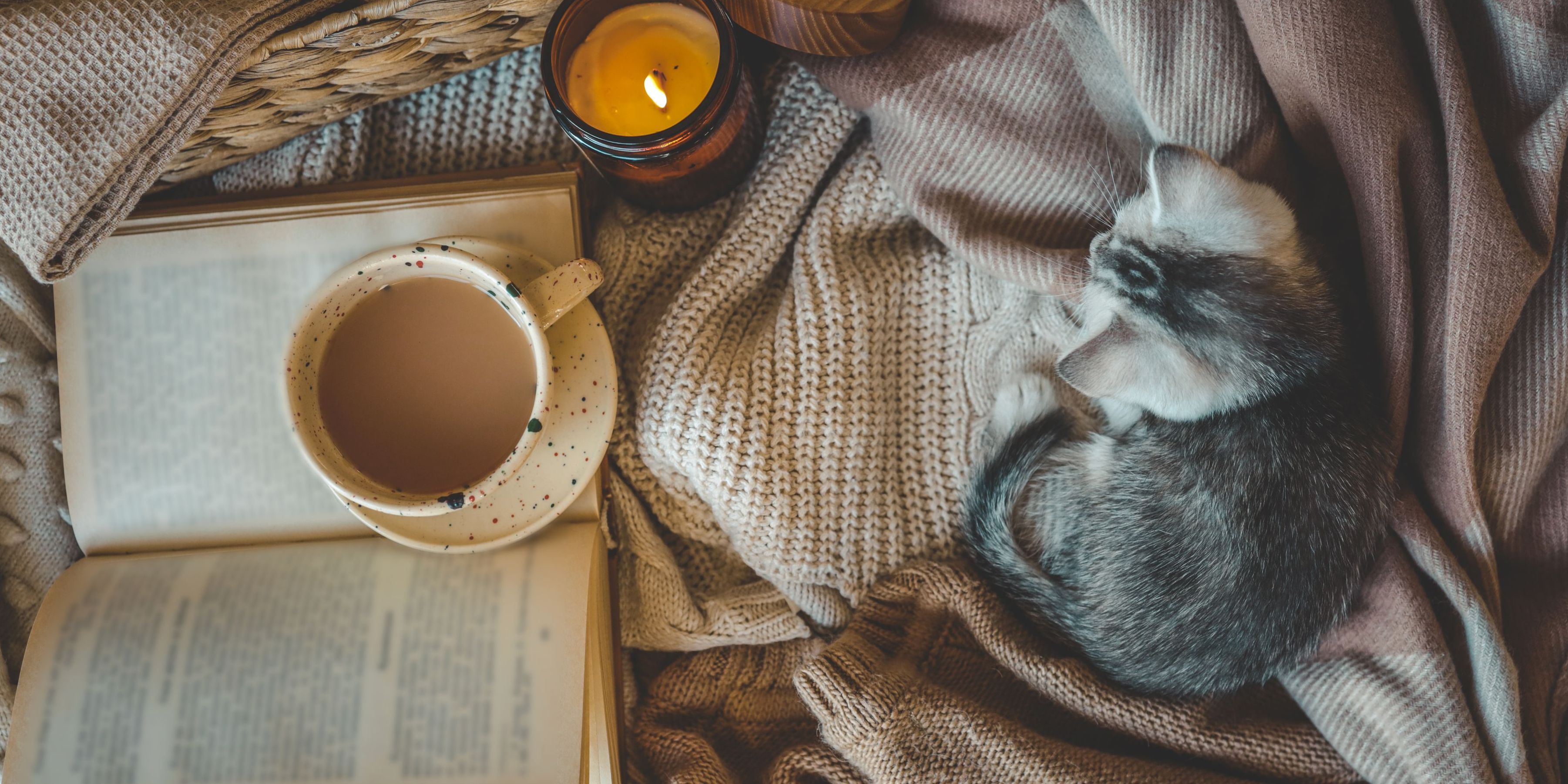 Cozy Fall Reading